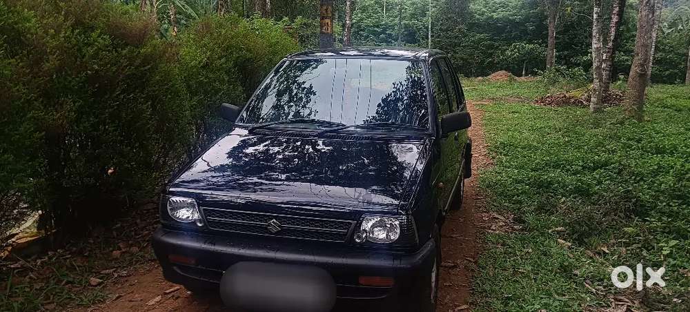 Maruti Suzuki 800 2010 Petrol Well Maintained