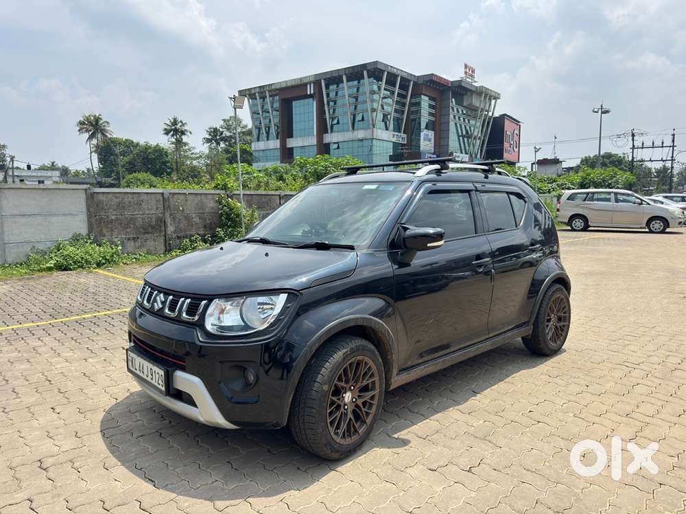 2025 Maruti Suzuki Ignis