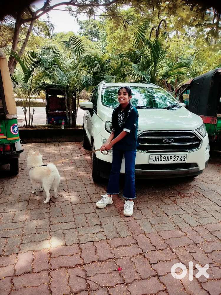 Ford Ecosport 2019 Diesel Manual