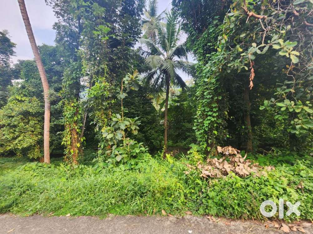 Residential cum Commercial Land for Sale at Vazhukkumpara, Thrissur