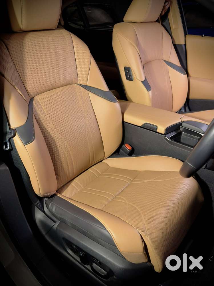 Lexus Es 300h Luxury, 2022, Petrol