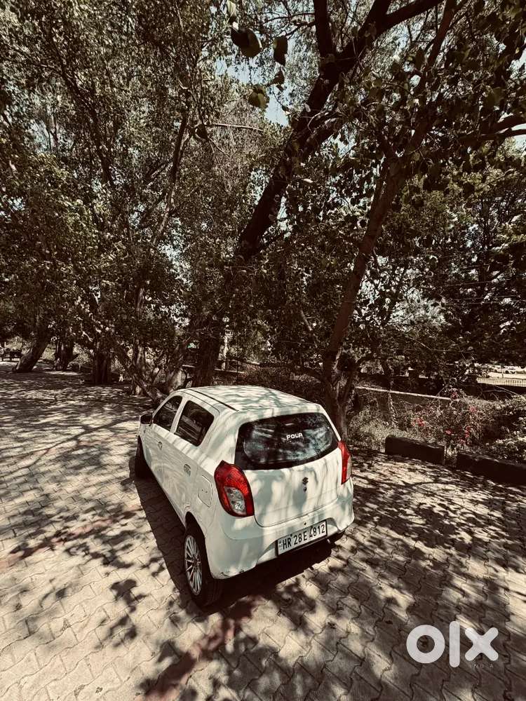 Alto 800 Brand New