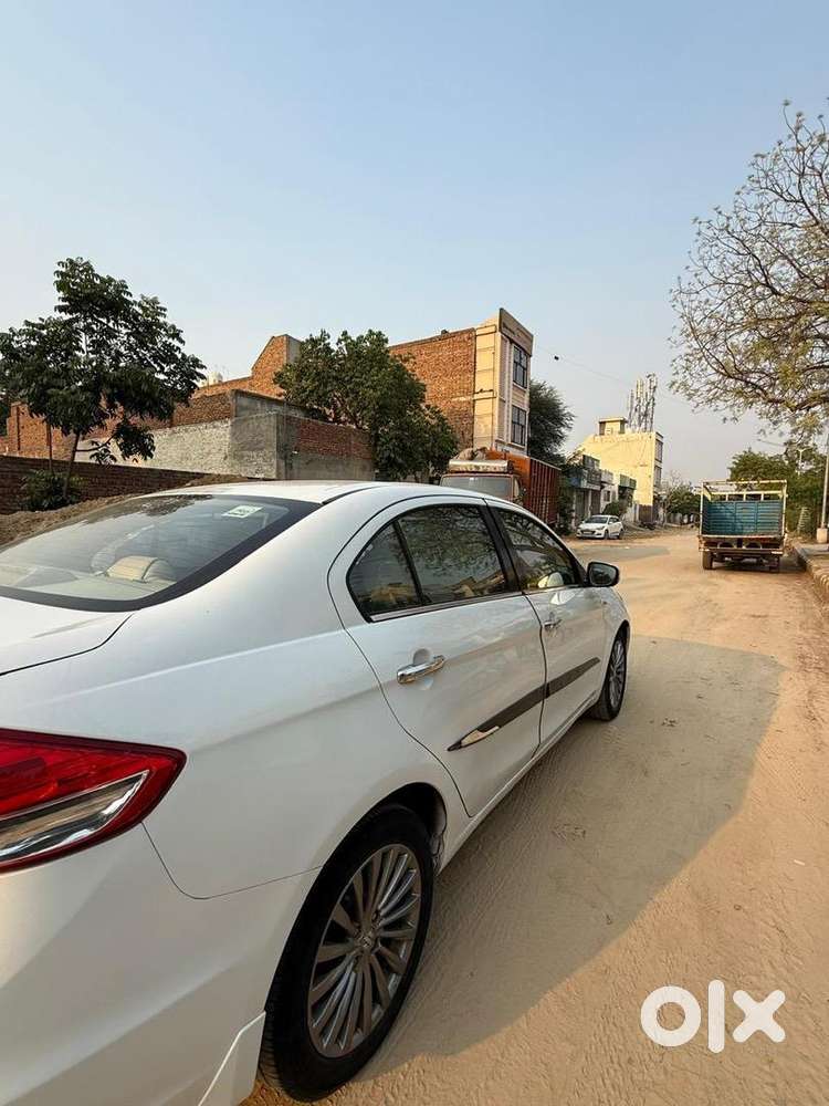 Maruti Suzuki Diesel 2017