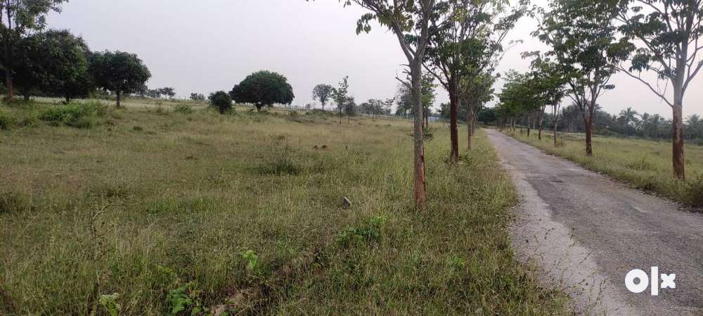 Above 2000 SqFt West facing site for sale near HUYILALU - Lands & Plots ...