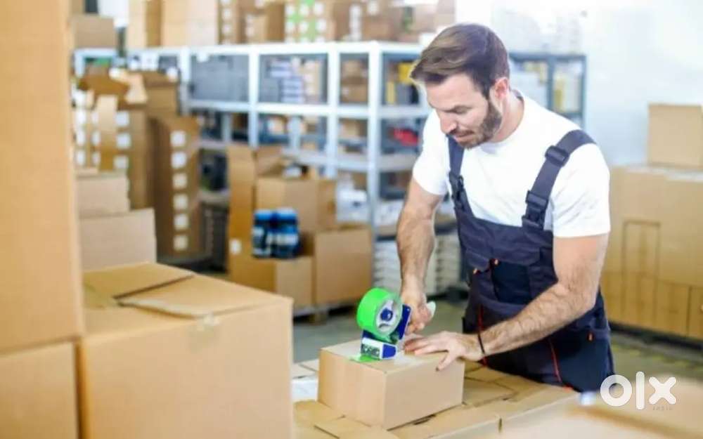 SHILPA HILLS @ BigBasket Walk-In Hiring - Picker & Packer - No Fees