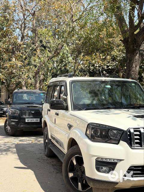 Car Renal Indore -