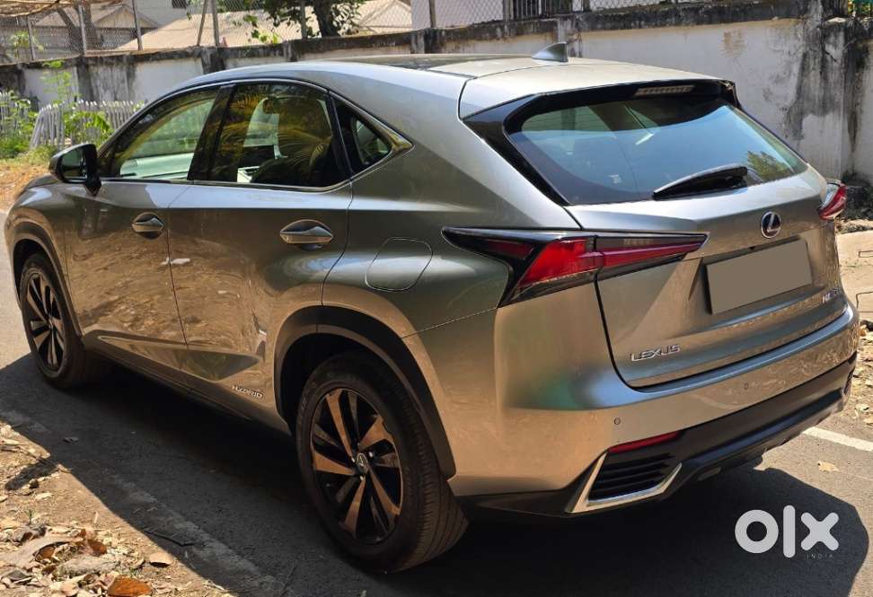 Lexus Nx Lexus-nx-300h-luxury, 2019, Petrol