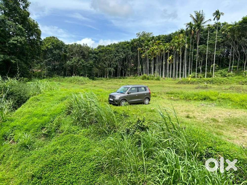 Maruti Suzuki Car 2021