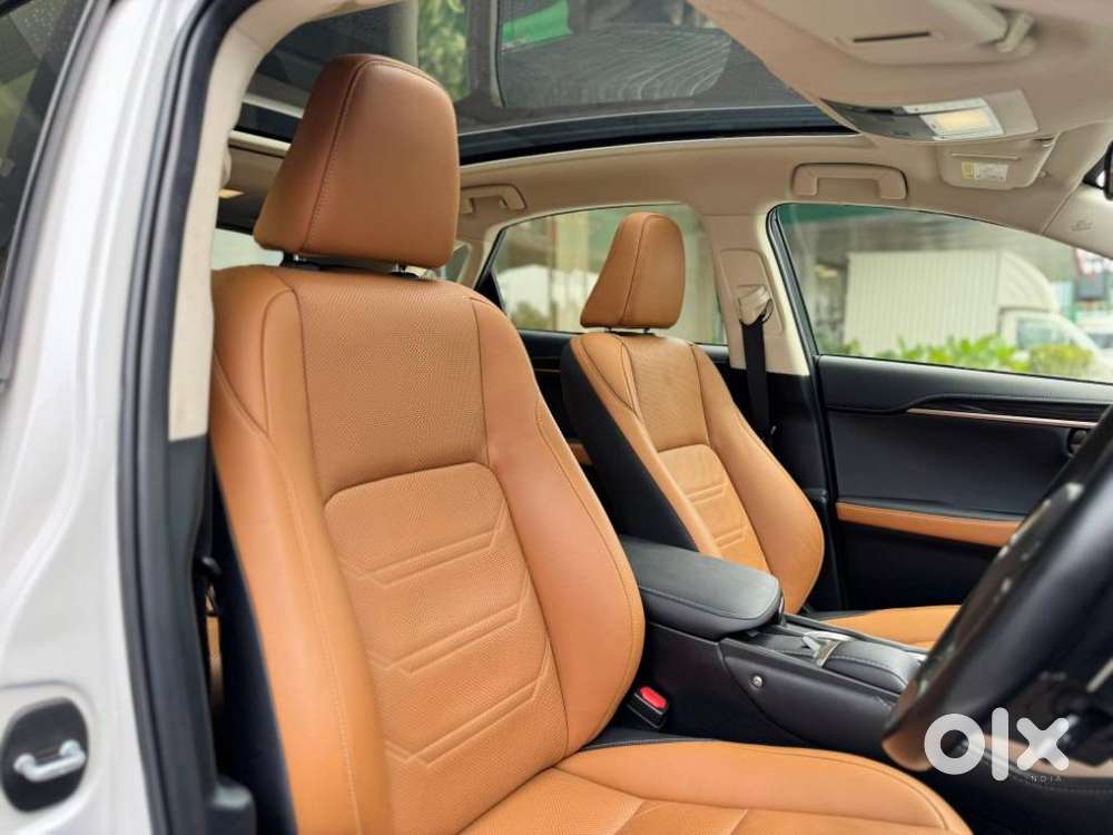 Lexus Nx Lexus-nx-300h-luxury, 2020, Petrol
