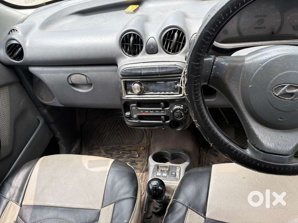 Hyundai Santro Xing 2010 Car