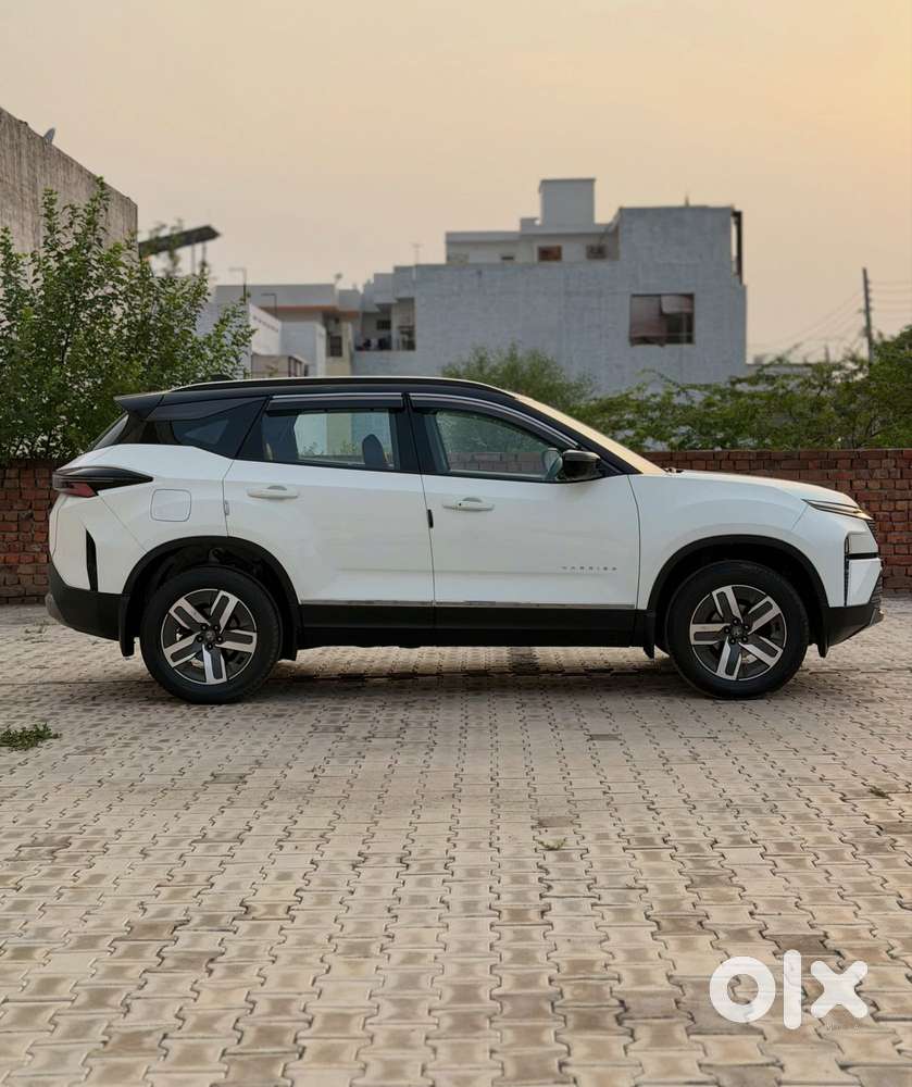 Tata Harrier Adventure Plus At, 2024, Diesel