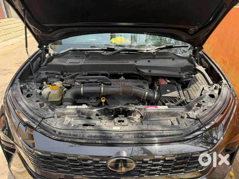 5 Years Warranty Ppf