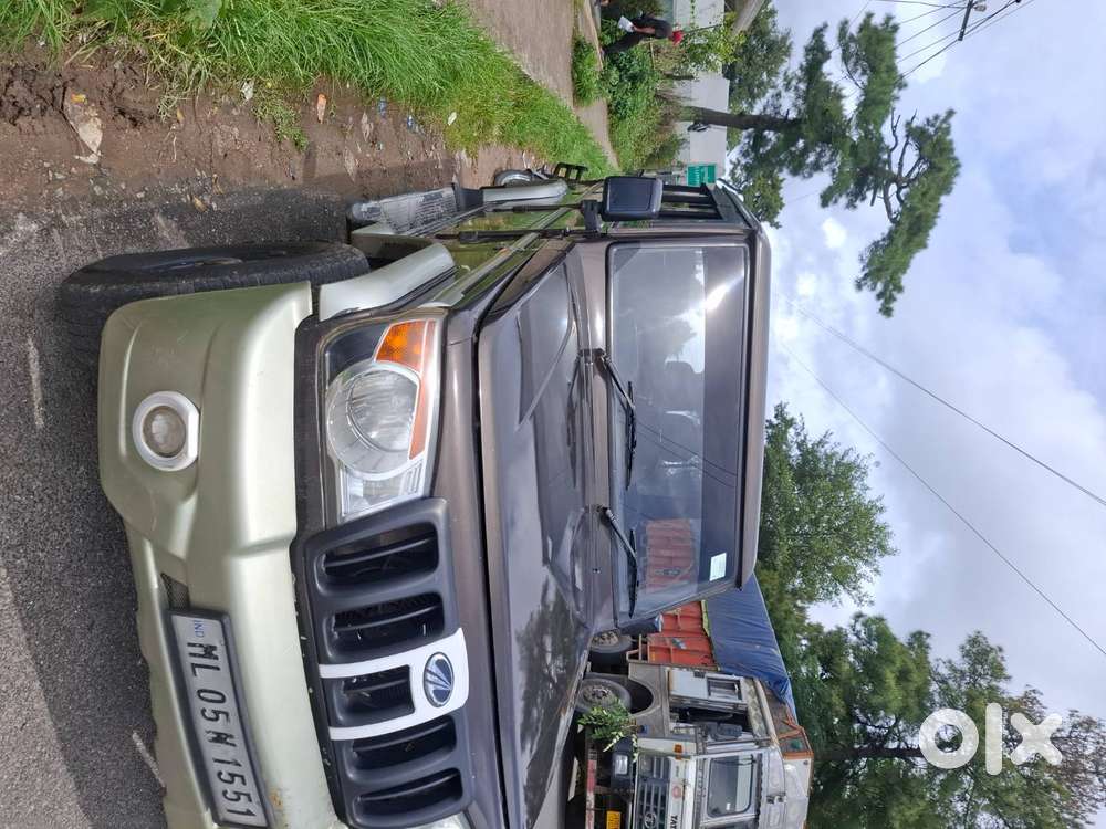 Bolero Storm In Very Good Condition