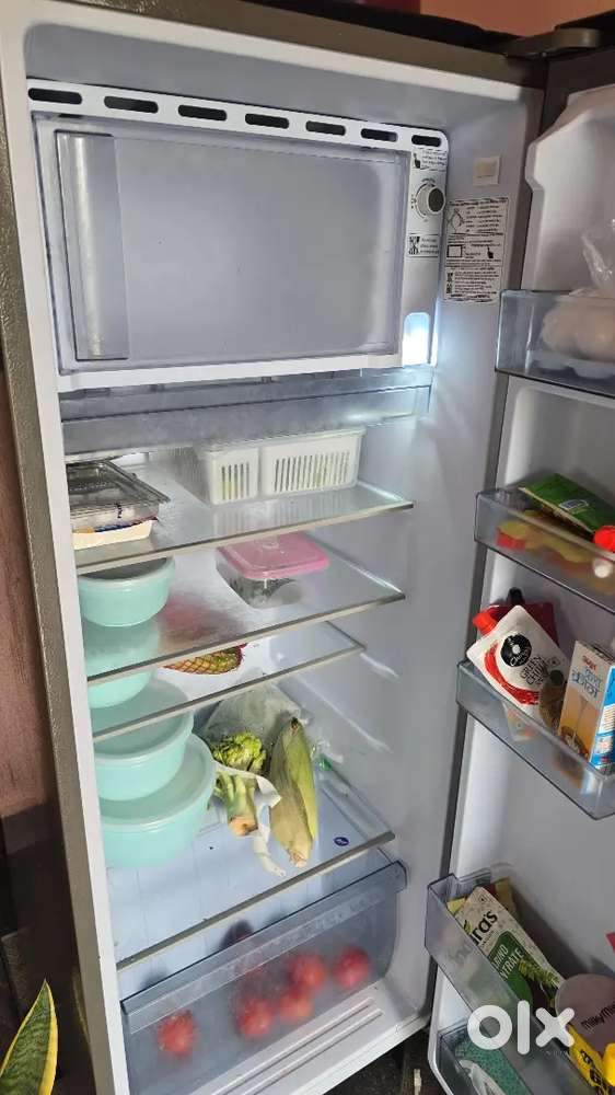 Single door refrigerator