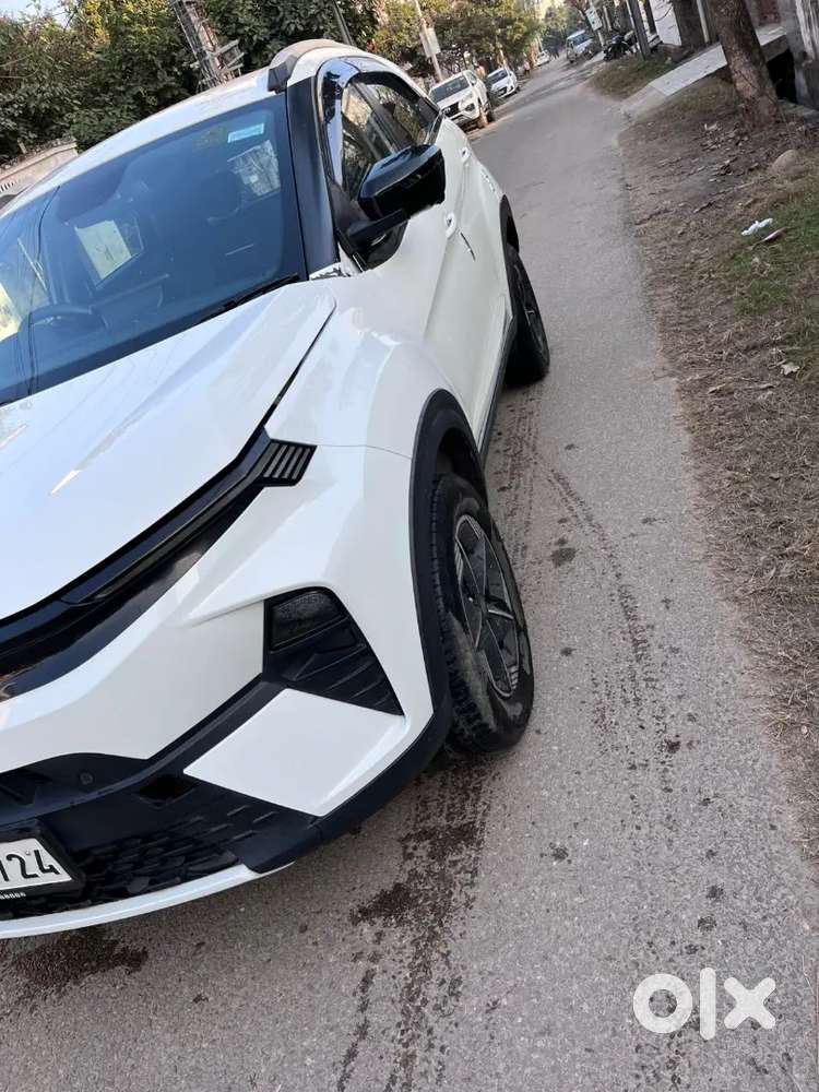 Tata Nexon 2024 Petrol Well Maintained