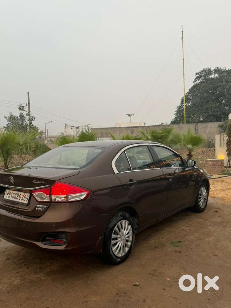 Maruti Suzuki Diesel 2016