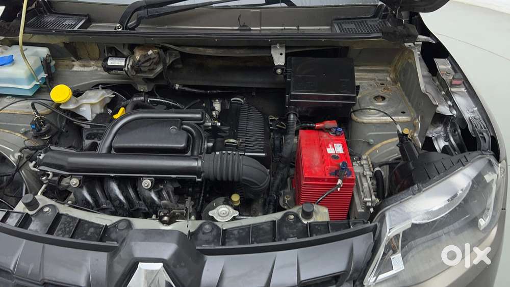 Renault Kwid 2019-ongoing 1.0 Climber Amt, 2019, Petrol