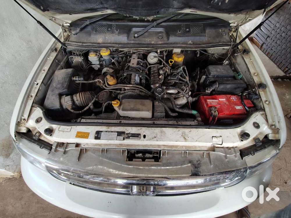 Vip Nomber. Panta 5 ( Mp 05 Mg 5555)