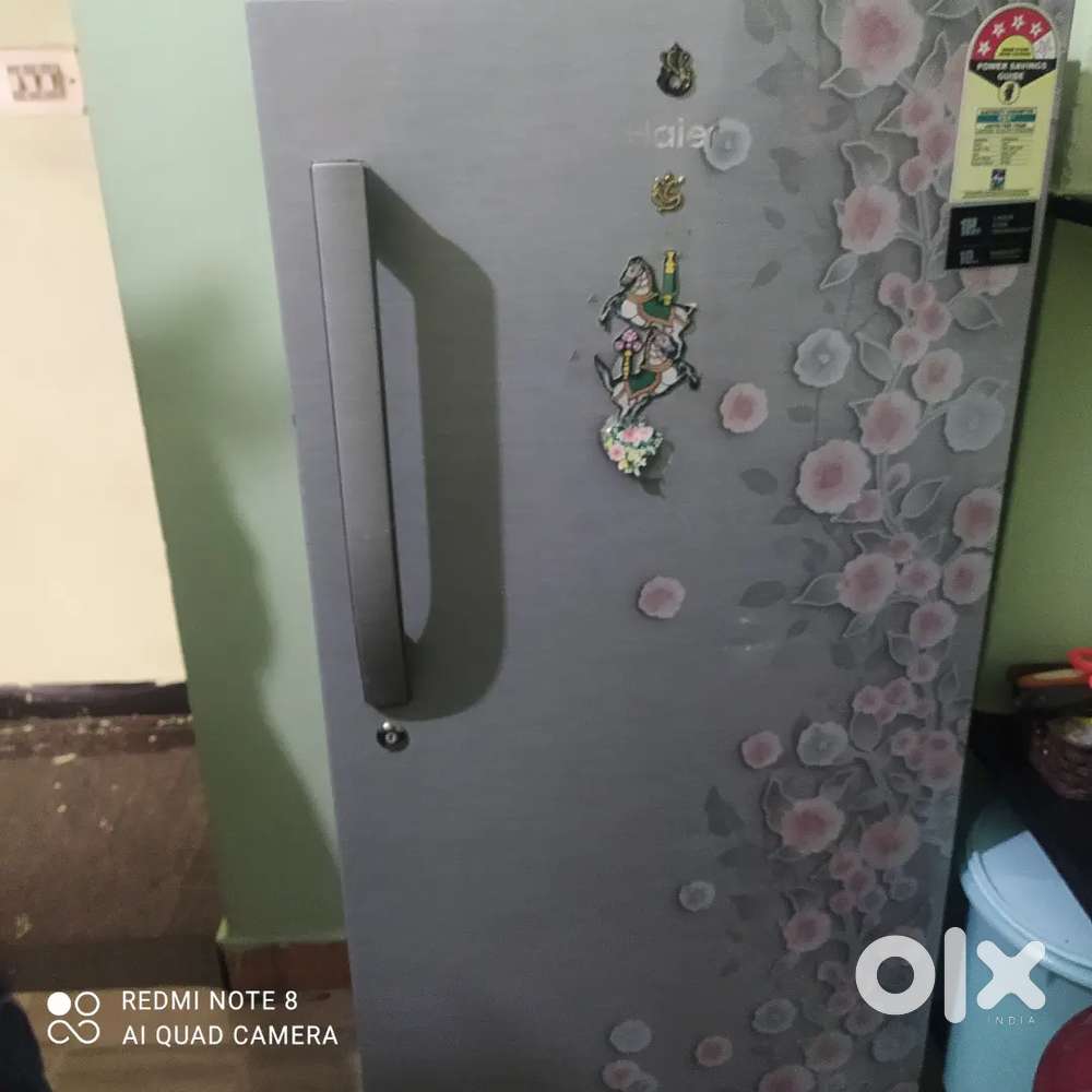 Hair Refrigerator single door