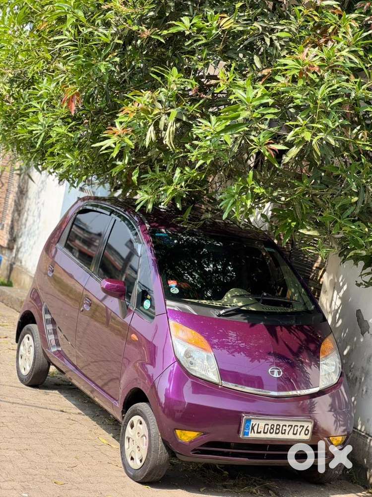 Tata Petrol Manual Car 2016