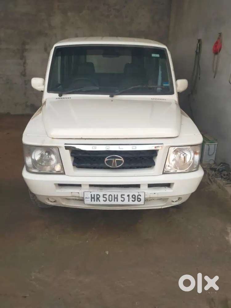 Sumo Gold Good Condition