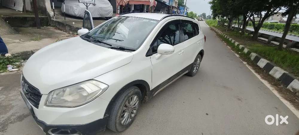 Maruti S Cross Only Cash Buyer