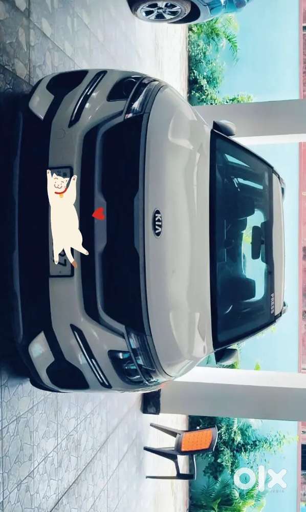 Kia Seltos 2020 Petrol 31000 Km Driven