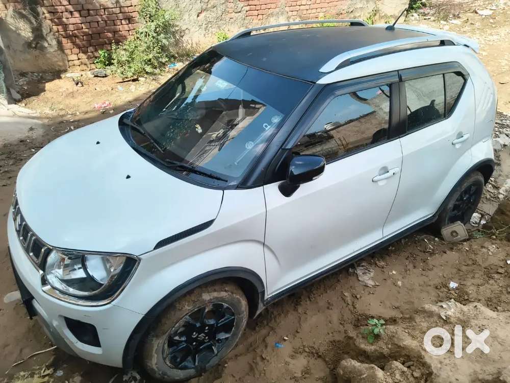 Maruti Suzuki Ignis 2023 Petrol 38000 Km Driven