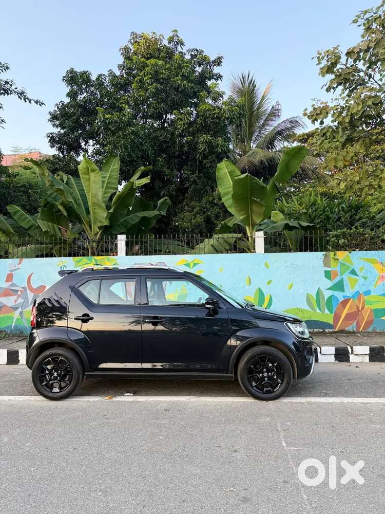 Maruti Suzuki Ignis 2025 Petrol 5000 Km Driven