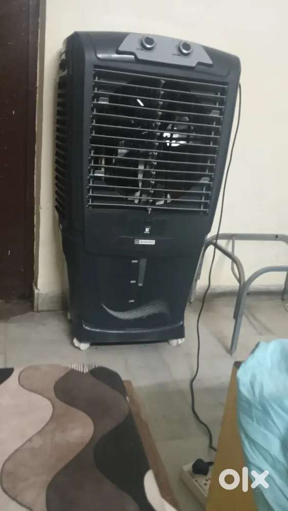 Blue star 60 L cooler