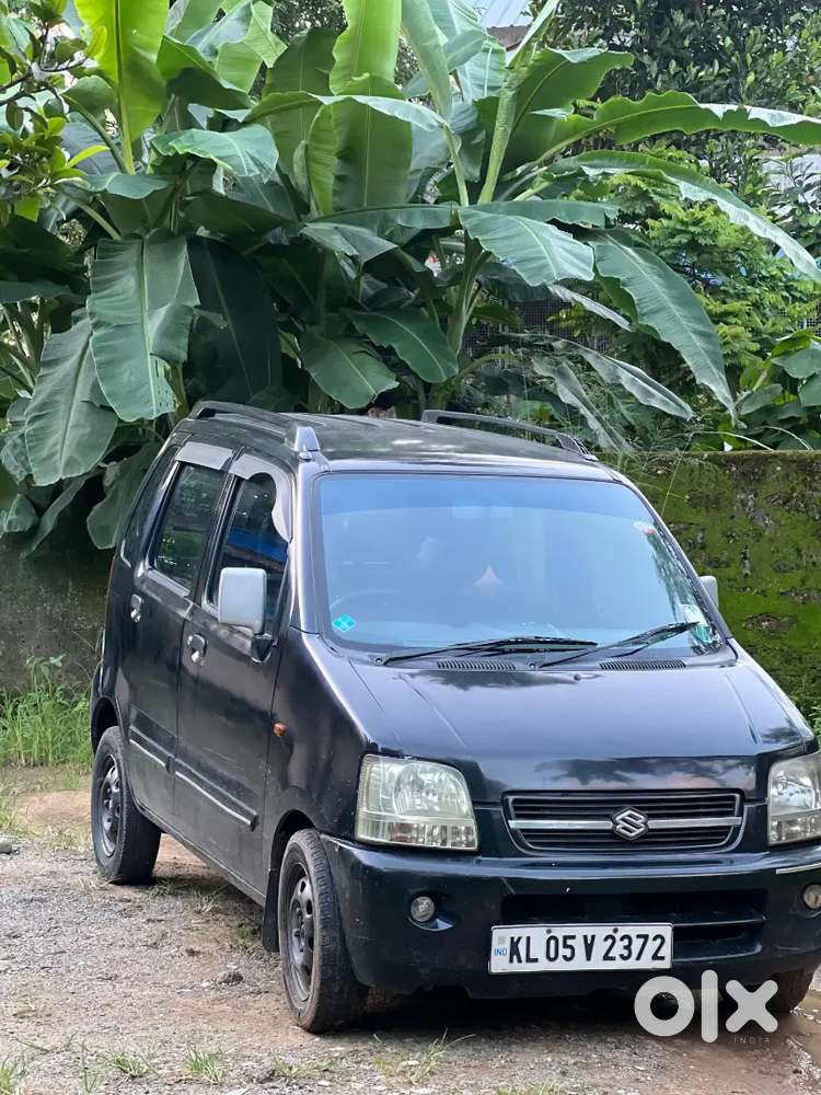 Maruti Suzuki Wagon R 2005 Lxi Odometer Reading
