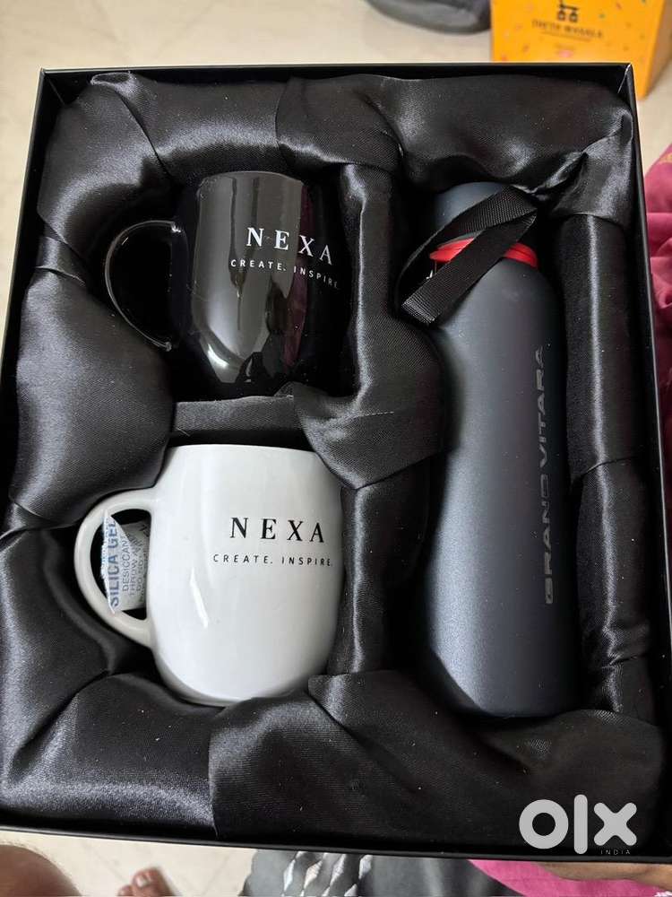 Maruti Suzuki Grand Vitara 2024 Petrol Well Maintained