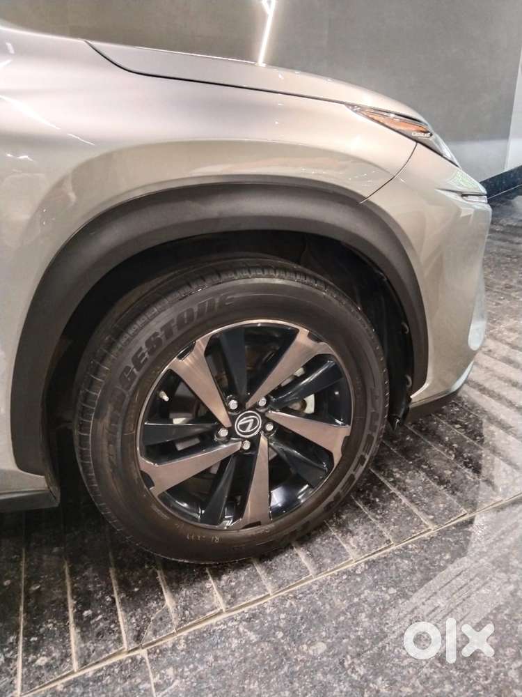 Lexus Nx Lexus-nx-300h-luxury, 2020, Petrol