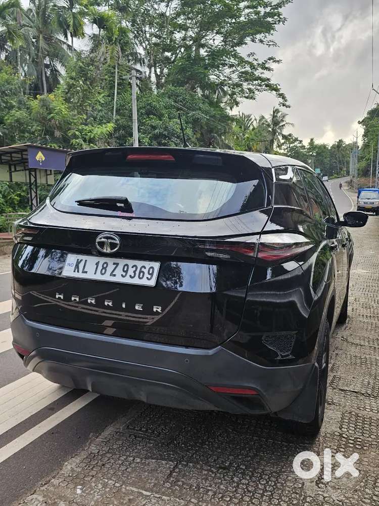 Harrier Xt +
