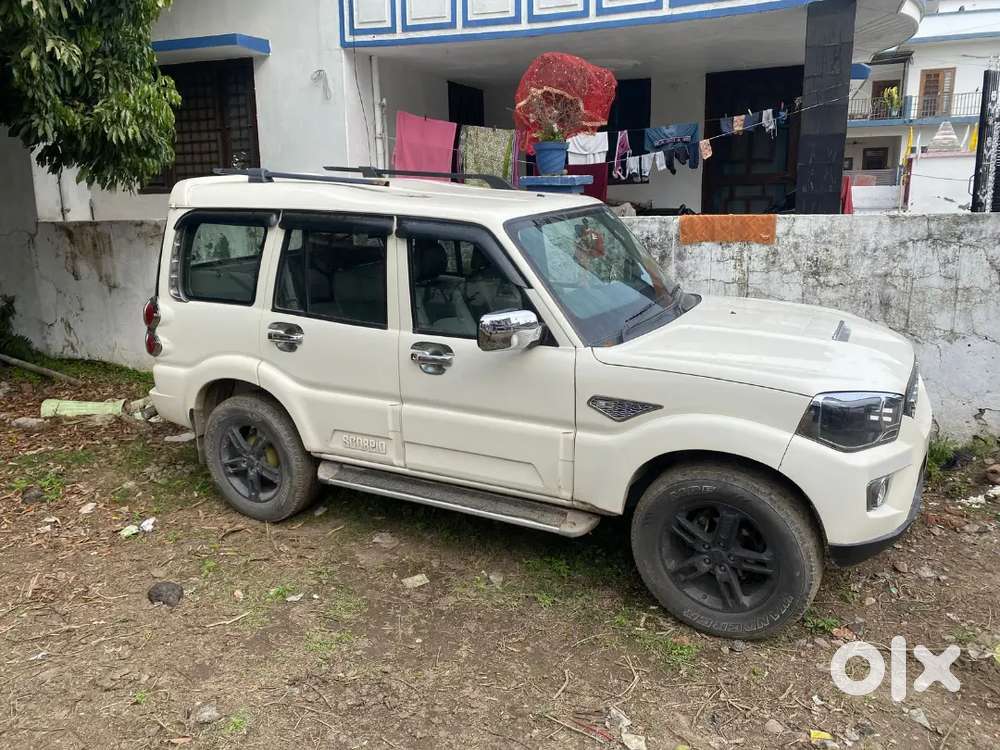 Want To Buy A New Car