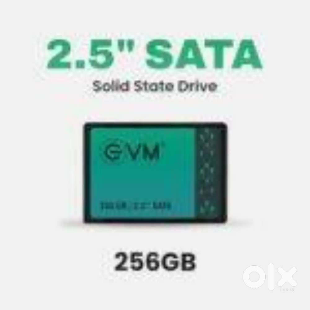 256 GB SSD EVM
