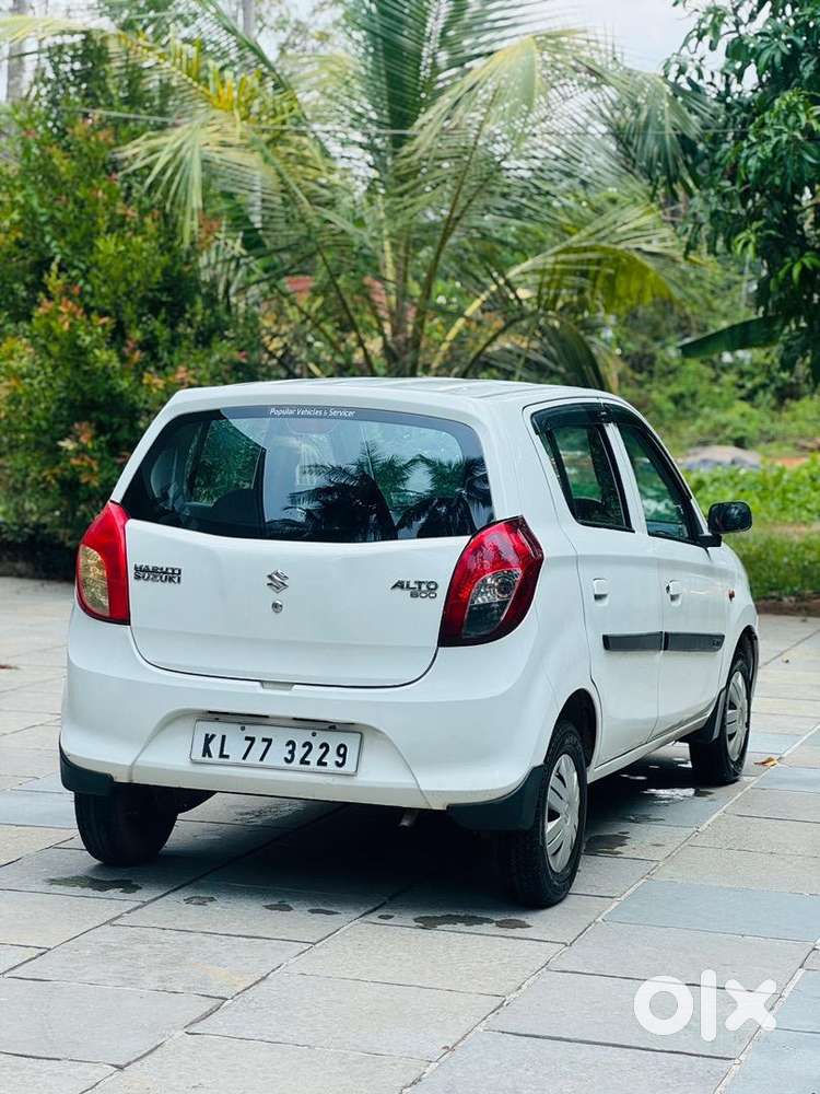Alto 800 2019