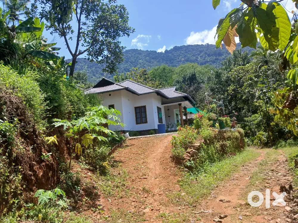 50 Cent Plantation Land + 1150 Sq.Ft. House for Sale in Kottiyoor (Kan ...