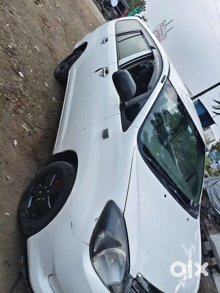 Fresh Condition