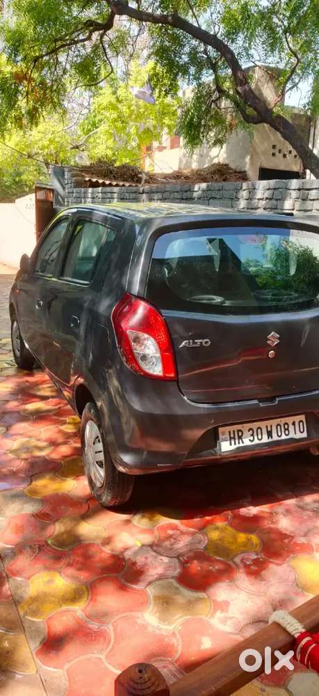Maruti Suzuki Alto 800 2021 Petrol 24000 Km Driven