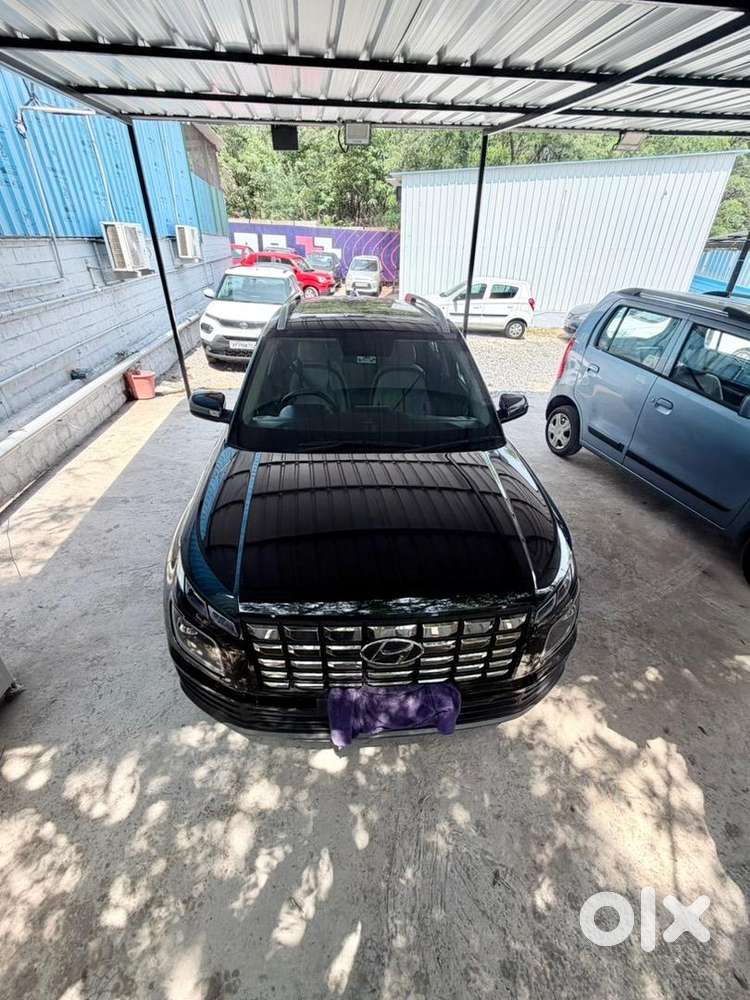 Hyundai Venue 2025 Petrol Well Maintained