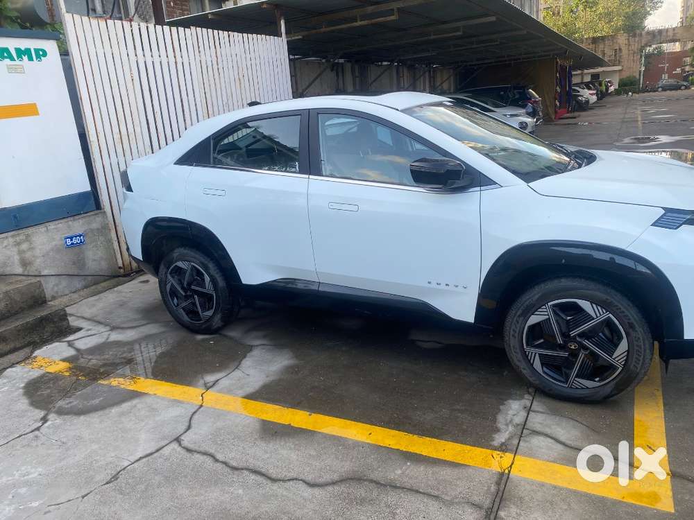 Tata Curvv Pure Plus 2024