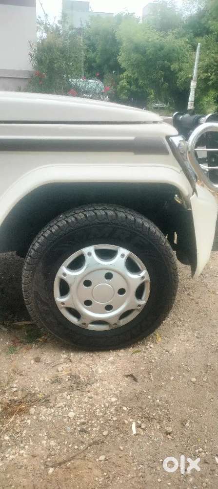 Mint Condition Bolero For Sale