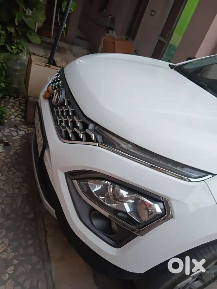 Tata Safari 2021 Diesel Well Maintained