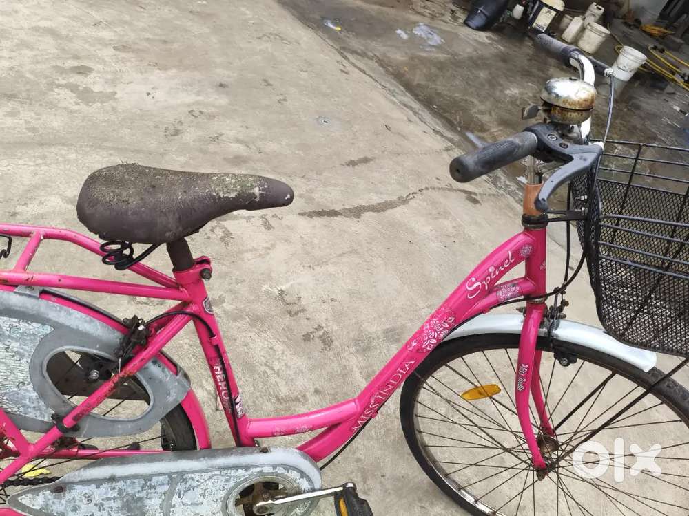 Ledybird cycle