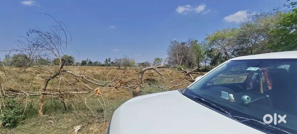 Maruti Suzuki Brezza 2024