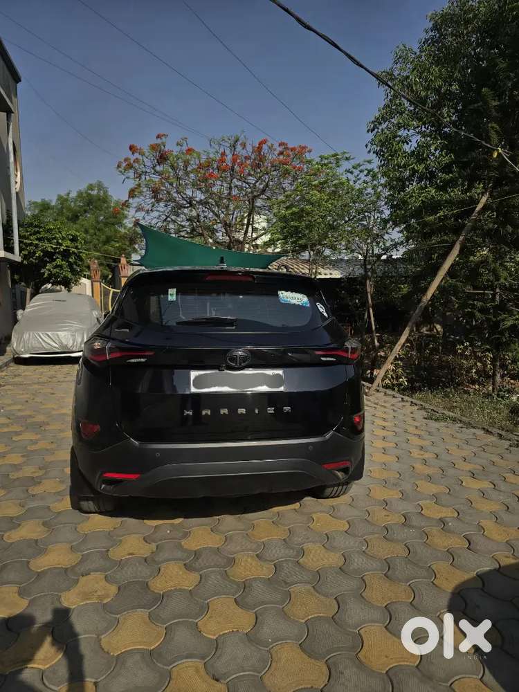 Mint Condition Harrier Xz+