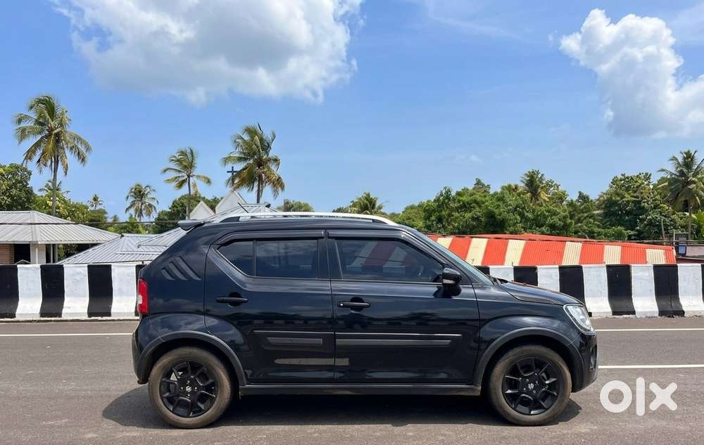 Maruti Suzuki Ignis 1.2 Alpha, 2024, Petrol