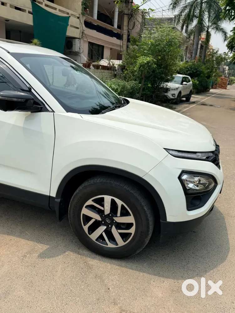Tata Harrier 2024 Diesel 52000 Km Driven