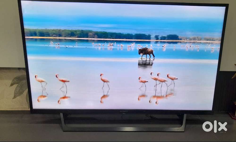 Sony Bravia 40 - Buy & Sell TVs, Video - Audio Online in India | OLX